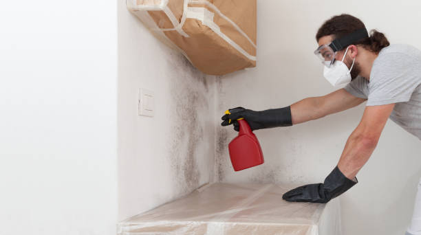 Professional Black Mold Removal technician working in Highland Park, NJ