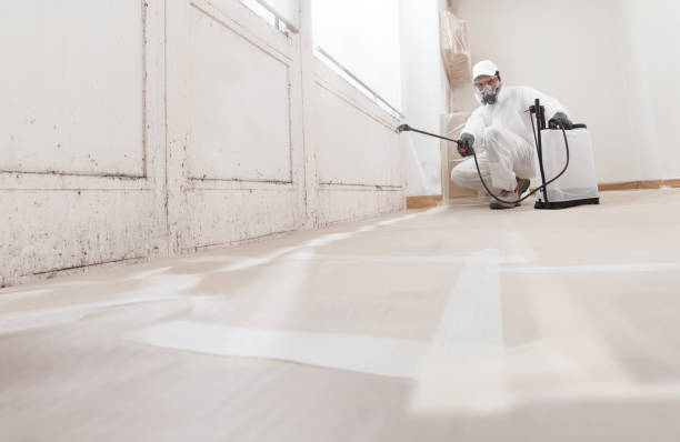 24/7 Emergency Black Mold Removal experts in Highland Park, NJ