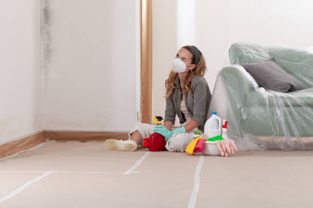 Reliable Black Mold Removal contractor in Highland Park, NJ by WQB Mold Removal